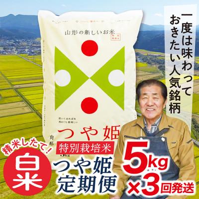 ふるさと納税 最上町 【毎月定期便】買い忘れなしで美味しい特別栽培米つや姫5kg(白米)が届く全3回