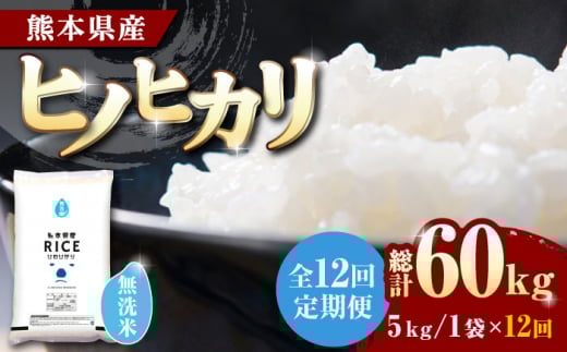 【全12回定期便】 ヒノヒカリ 無洗米 5kg【株式会社  農産ベストパートナー】5kg 無洗米 精米 特A ヒノヒカリ ひのひかり コメ 米 お米 熊本県 熊本県産 定期 [ZBP092]