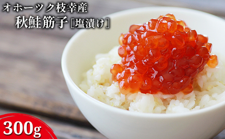オホーツク枝幸産 秋鮭 筋子300g［塩漬け］山上佐藤水産 【 魚貝類 いくら 魚卵 北海道 オホーツク 枝幸 】