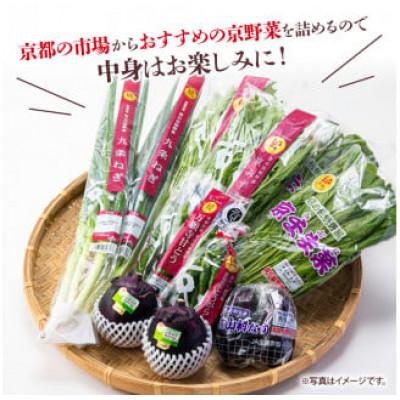 ふるさと納税 京都府 【毎月定期便】選りすぐり京野菜 旬のおすすめ6種程　全12回 新鮮な野菜定期便を12か月間お届け |  | 02