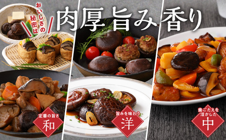 大分県産小玉どんこ椎茸300g 原木栽培 干し椎茸_B063-013