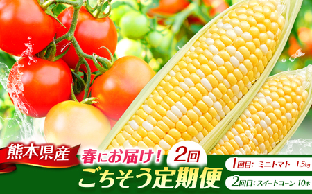 【定期便2回】ミニトマト 約1.5kg ＆ スイートコーン 10本