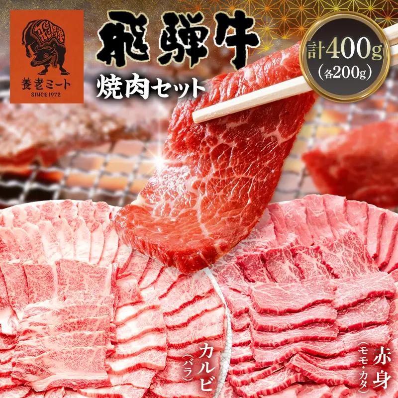 飛騨牛 焼肉セット 400g 焼肉 BBQ 牛肉 和牛 肉 霜降り バラカルビ 赤身 モモ カタ 詰め合わせ ギフト 御祝 内祝 2人前 大容量 岐阜県 坂祝町 養老ミート  F6M-393