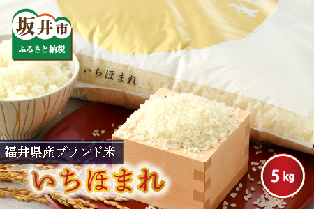【令和7年産】（玄米）さんさん池見二代目がお届けする 福井県産いちほまれ 5kg [B-0219_04]