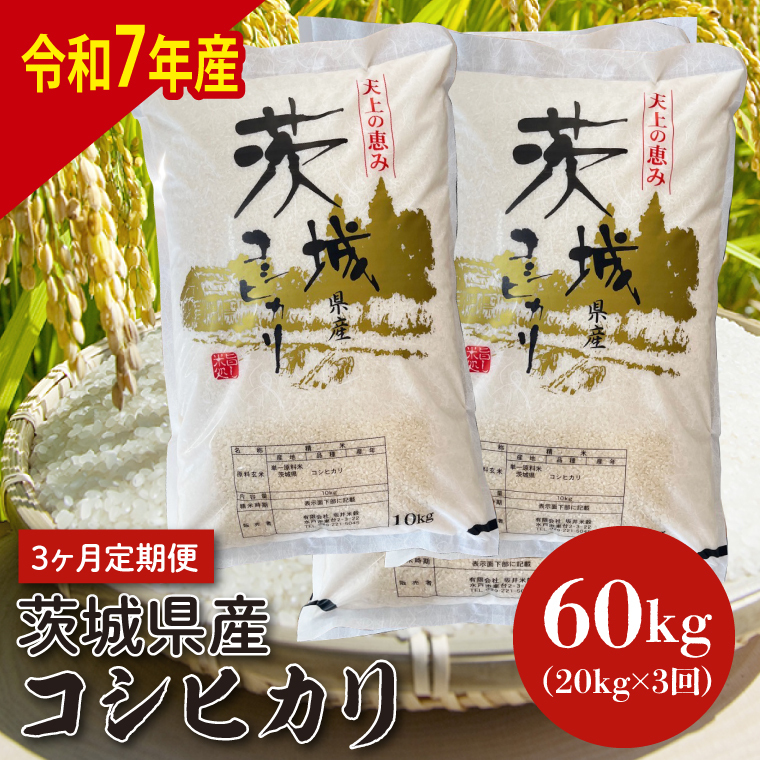 【令和7年産】【3ヶ月定期便】茨城県産コシヒカリ 20kg×3 (HQ-206)