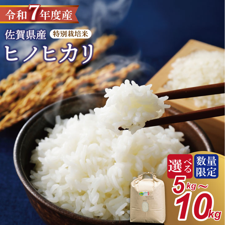 【ふるさと納税】R7年度産（令和7年度産）【選べる内容量】特別栽培米 「ヒノヒカリ 」（5kg・10kg）田中農場 精米 白米5キロ 10キロ 単位 もちもち 食感 冷めても 美味しい お一人様 ご家族用 ランキング 特A 評価 【B130-082】