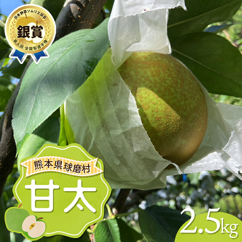 【ふるさと納税】甘太 2.5kg（4～7玉） 梨 果物 フルーツ 特産品 FKP9-718