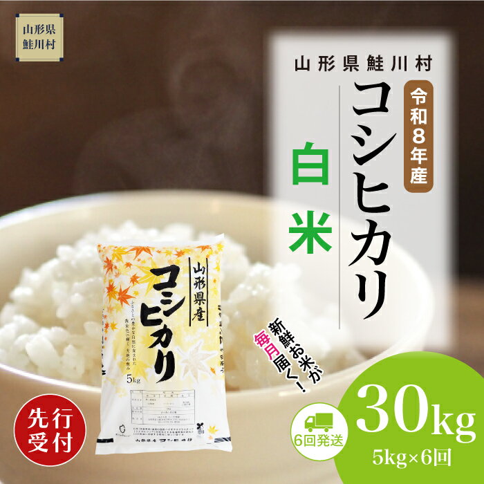 【ふるさと納税】＜令和8年産米先行受付＞ 鮭川村 コシヒカリ 【白米】30kg （5kg×1ヶ月間隔で6回お届け）＜配送時期選べます＞