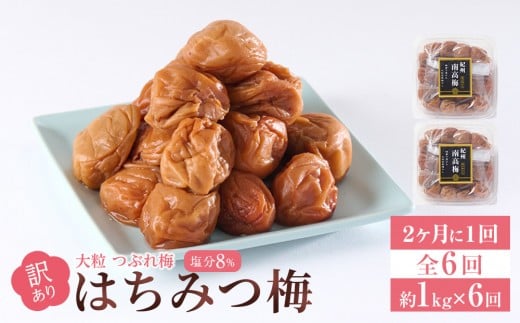 訳あり 梅干し 大粒 大玉 つぶれ梅 はちみつ梅 約1kg(500g×2) × 6回  塩分8％ [ 定期便 2か月に１回発送・全6回 ]