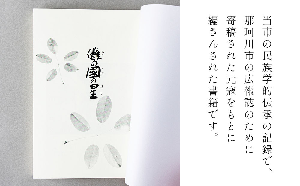 儺の國の星＜那珂川市ふるさと納税＞那珂川市