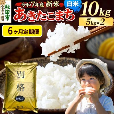 ふるさと納税 秋田市 《令和7年産新米》定期便6ヶ月 あきたこまち 10kg 白米|15_mge-011006h