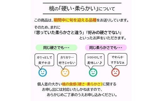 【令和6年産先行予約】 《定期便4回》 JA 夏秋冬人気フルー