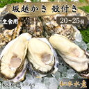 【ふるさと納税】牡蠣 生食用 坂越かき 殻付き 20～25個 松本水産 [ 生牡蠣 真牡蠣 かき カキ 冬牡蠣 ]　 魚貝類 海鮮 海のミルク 身が大きい 濃厚 風味豊か 旨味 新鮮な牡蠣 　お届け：2025年1月中旬～2025年3月末