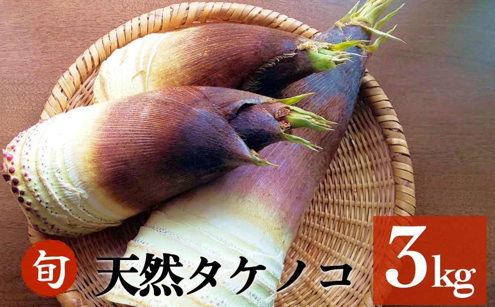 
                  【先行予約】 天然タケノコ 3kg 朝掘り 採れたて発送 富山県産 ＜農薬・化学肥料・除草剤不使用＞
                