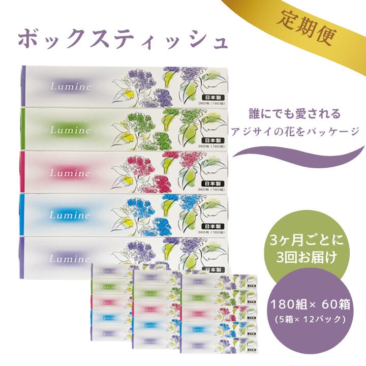 【ふるさと納税】【3ヶ月ごとに3回お届け 定期便】 ルミネ180W5P 12パック入