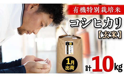 令和8年産 ＜ 1月出荷 ＞ 玄米 10kg 三百年 続く農家 の 有機特別栽培米 コシヒカリ 有機栽培 農創 米 こめ コメ ごはん ご飯 精米 白米 国産 茨城県産 おいしい 新生活 プレゼント 新生活応援 必要なもの 便利 おすすめ 消耗品 一人暮らし 二人暮らし 必要