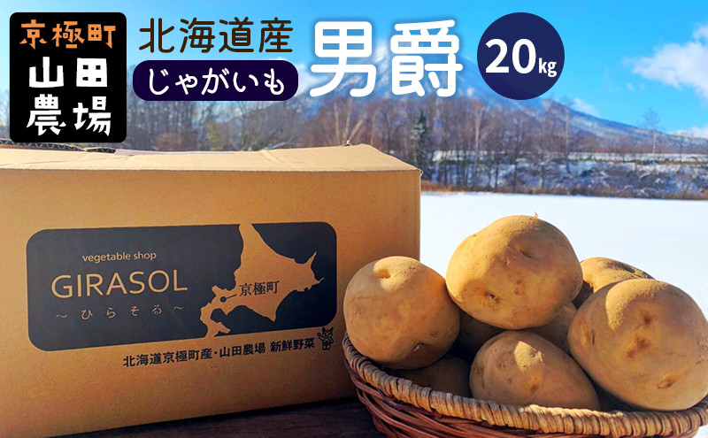 
            北海道産じゃがいも〈男爵〉20kg［京極町］ 野菜 男爵 じゃがいも 20kg 北海道 料理
          