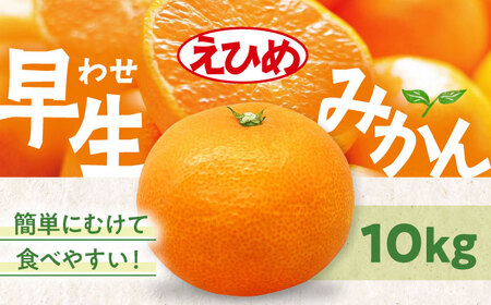 みかん【11月中旬から順次発送】温州みかん（早生）10kg みかん[AGAW017]