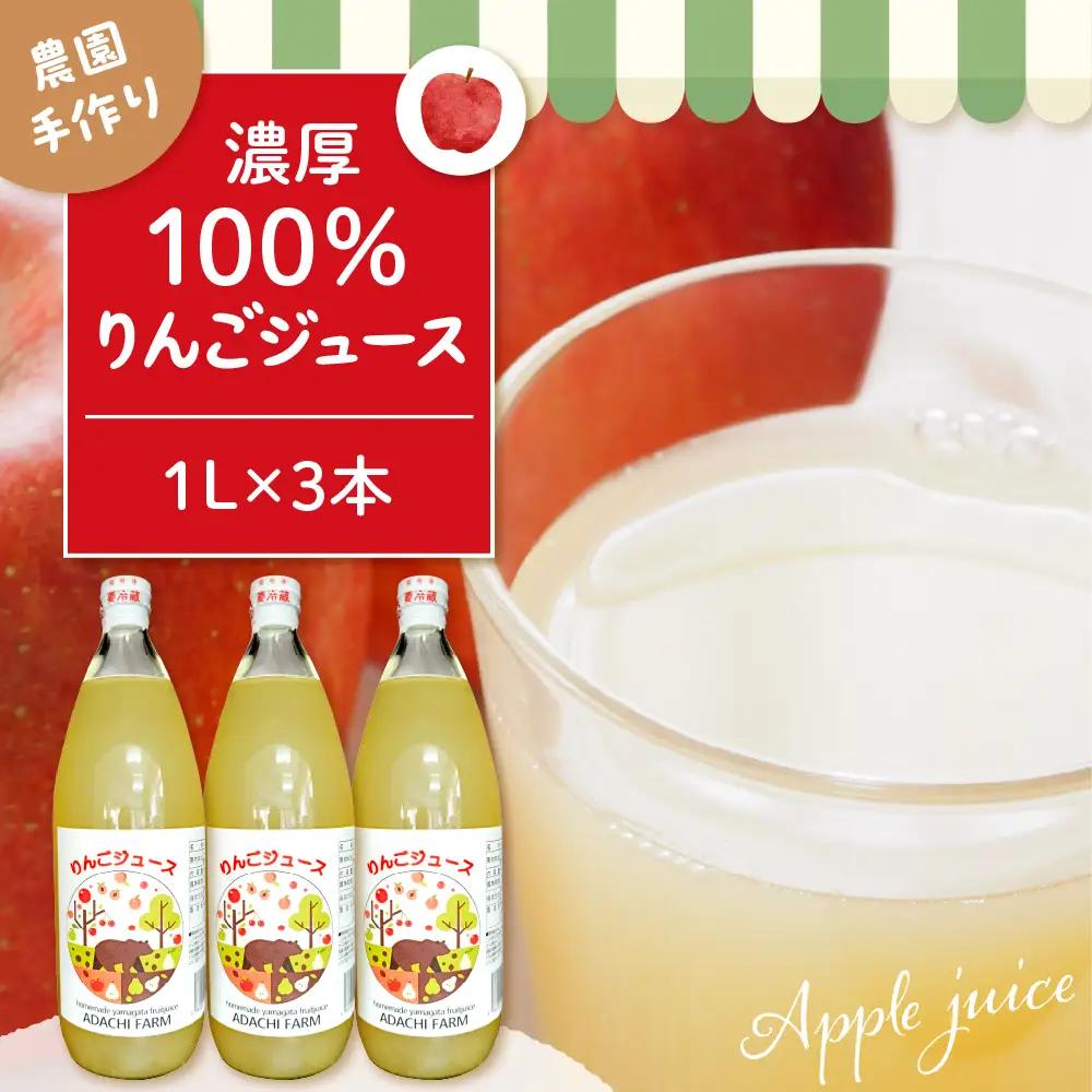 100% りんご ジュース 1L×3本 セット フルーツ ジュース