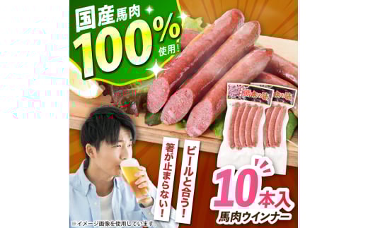 『純国産』熊本の味「桜」 国産 馬肉 100% 馬肉 ウインナー 10本【有限会社 九州食肉産業】 [AYCN123]