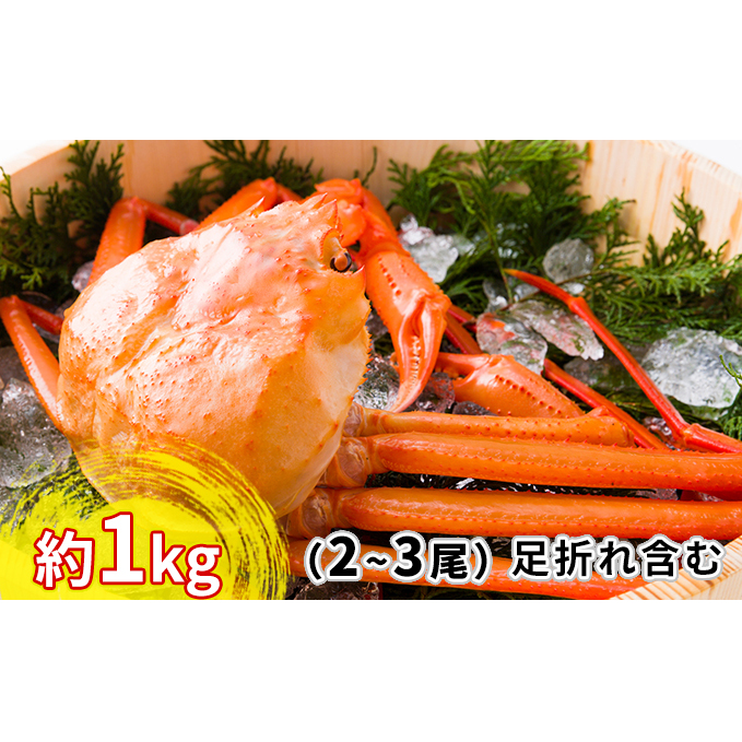 【おすすめ】紅ズワイガニ約1kg（2～3尾）【棚辺水産】_イメージ1