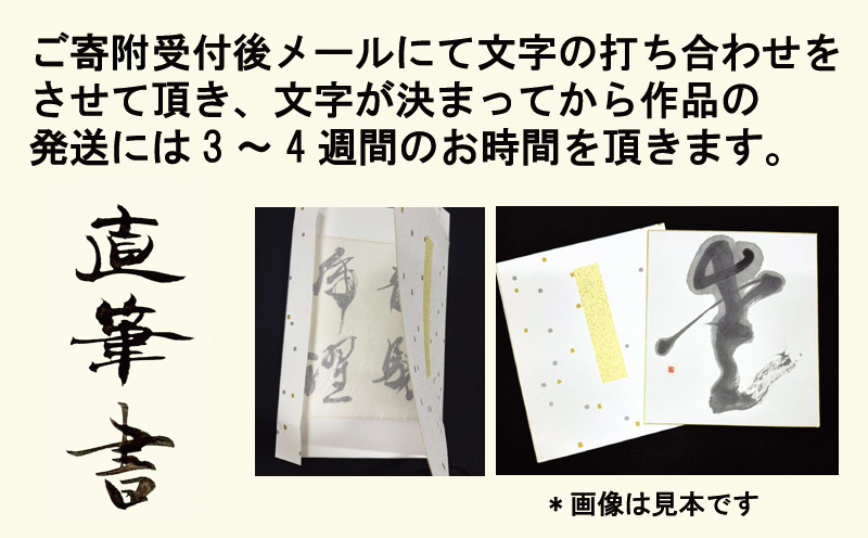 書道家による直筆書 上平梅径 直筆書(白1字) 099H4649_イメージ3