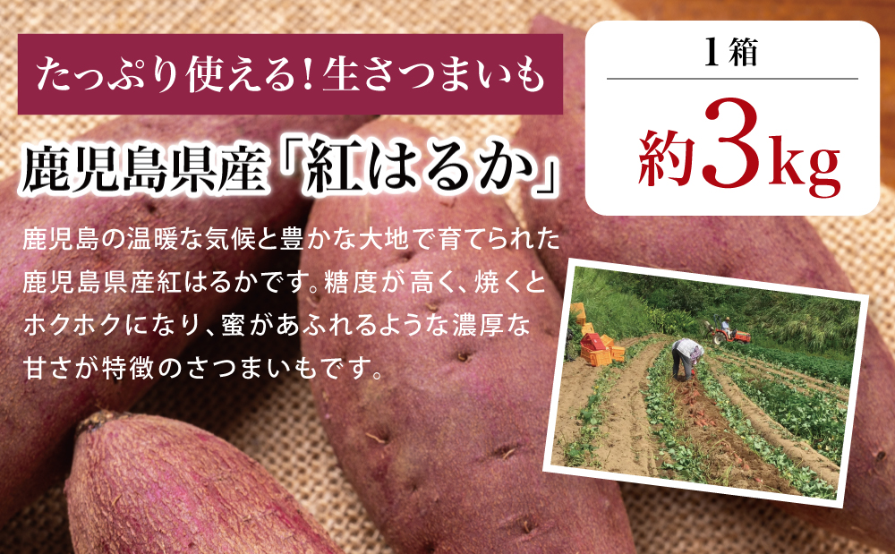 【鹿児島県産】生さつまいも「紅はるか」約3kg ★11月以降順次出荷★ 冬季限定 先行受付 さつまいも 生いも 生芋 焼き芋 さつま芋 甘藷 サツマイモ べにはるか スイーツ 野菜 貯蔵 常温保存 旬