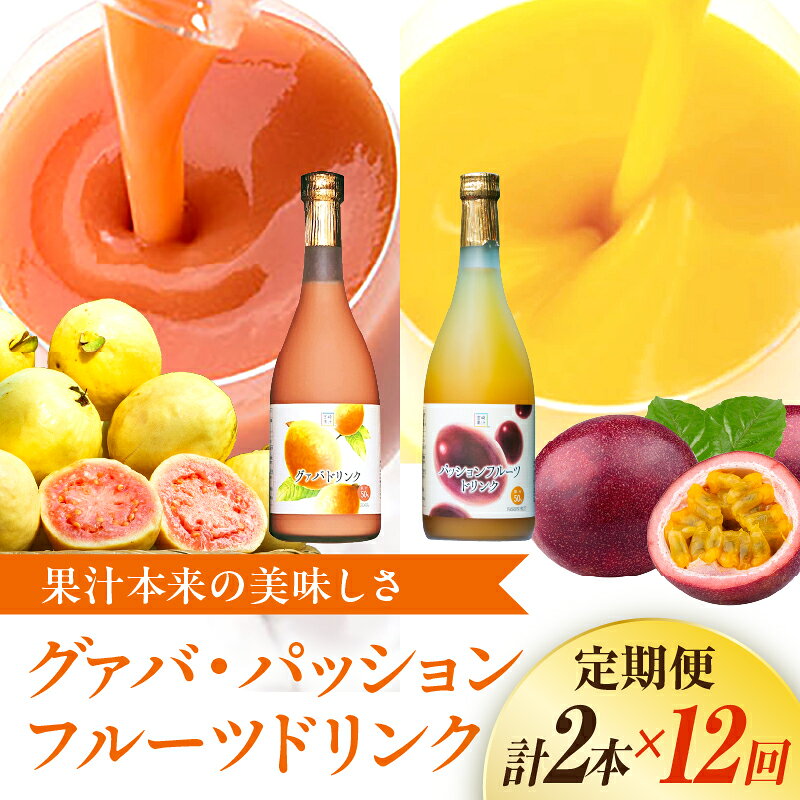 【ふるさと納税】【定期便・全12回】驚きの果実感！グァバ・パッションフルーツドリンク2本セット(720ml×2本)×12回 ドリンク フルーツドリンク 果汁入り飲料 トロピカルジュース 飲み比べ セット 詰め合わせ 贈答 贈り物 ギフト プレゼント 宮崎県 串間市