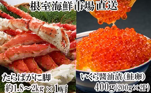 D-28057 根室海鮮市場＜直送＞ボイルたらばがに脚約1.8～2kg×1肩、いくら醤油漬け(鮭卵)200g×2P