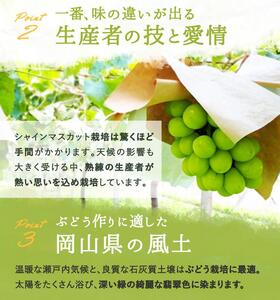 岡山県産　シャインマスカット『晴王』1房(800g以上) 化粧箱入り