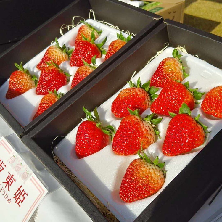 坂東姫 12粒入×1箱 ｜ 坂東太郎 果物 フルーツ 旬 くだもの 甘い お取り寄せ ギフト 贈り物_CB18 ※2024年12月下旬～2025年2月上旬頃に順次発送予定 ※北海道・沖縄・離島への配送