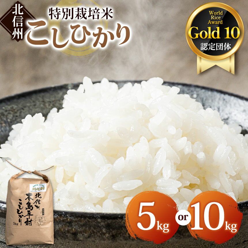 【ふるさと納税】 木島平産コシヒカリ 約5kg/10kg（山嵜智之さん） | 米 白米 精米 特別栽培米 コシヒカリ こしひかり お米 おこめ 減農薬 長野県 木島平村 信州