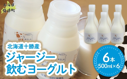 ジャージー飲むヨーグルト 500ml ×6 【ふるさと納税 人気 おすすめ ランキング ヨーグルト ジャージー牛乳 乳酸菌 安定剤不使用 乳化剤不使用 保存料不使用 濃厚 定期便 髙田牧場 北海道 十勝 鹿追町 送料無料】 SKM030