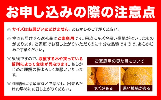 清見オレンジ ノーワックス 有田育ちの完熟清見オレンジ 約5kg 有田マルシェ ご家庭用《2027年2月下旬-5月上旬頃出荷》和歌山県 日高町 清見オレンジ 柑橘 柑橘類