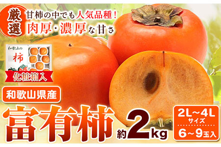 ［厳選・産直］和歌山産の富有柿約2kg（化粧箱入り）（2L～4Lサイズ） 厳選館《2024年11月上旬-12月下旬頃出荷》和歌山県 日高川町 富有柿 贈答用---wshg_tmt110_ab1112_23_11000_2kg---