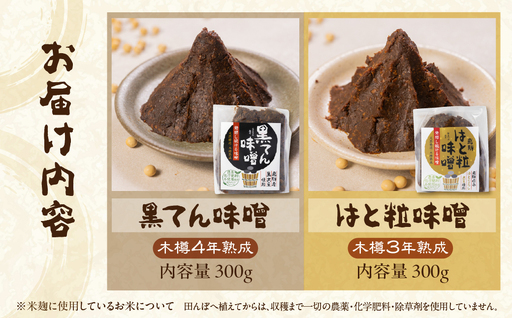 味噌 黒てん味噌 はと粒味噌 セット 600g 味噌 黒豆みそ はと粒 はところし 木樽仕込み 3年以上熟成 300g×2 ひだかみ 黒大豆