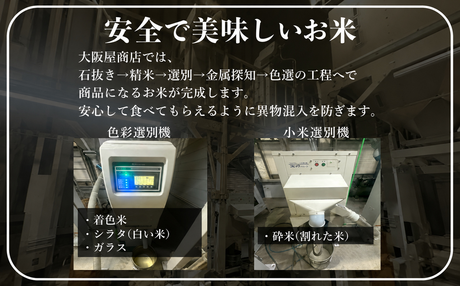 令和8年産 魚沼産コシヒカリ 特別栽培米 津南町認証米 10kg(5kg×2袋) 129404-019