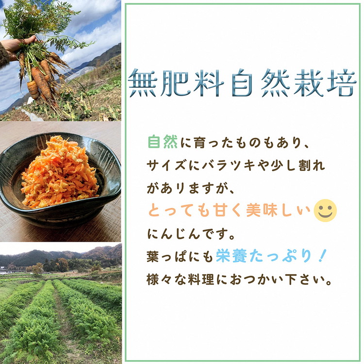 人参 8kg【期間限定】自然栽培の甘い 葉付き人参 京都府・亀岡産 かたもとオーガニックファームよりお届け 《訳あり サイズ不揃い にんじん 国産 京都産 栽培期間中農薬不使用 産地直送》 ※2025