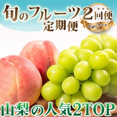 
            ＜発送月固定定期便＞2025年発送 山梨フルーツ旬の果物 桃+シャインマスカット 全2回【4057484】
          