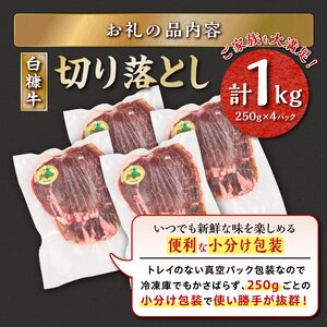 【訳あり】北海道産 赤身の旨味がギュッと詰まった 白糠牛 切り落とし【1kg（250g×4パック）】小分け 惣菜 牛肉 切り落とし 赤身 牛 国産牛 お肉 切落し 大容量 冷凍 ふるさと納税 北海道 