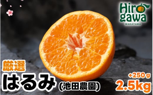 はるみ 厳選 2.5kg+250g（痛み補償分） 光センサー / デコポン 姉妹品種 甘い 高級 和歌山 有田 柑橘 ※2月上旬〜3月下旬に順次発送予定 ※北海道・沖縄・離島への配送不可【ikd013-p-2d5A】