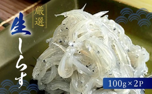 
                  厳選 生しらす (100g×2P)【冷凍 生しらす】_H6019n
                