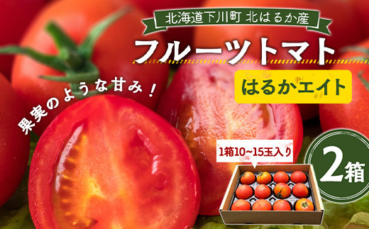 【先行予約】令和6年度産 10～15玉前後 糖度8.0度以上 北はるか産フルーツトマト はるかエイト 2箱 F4G-0110