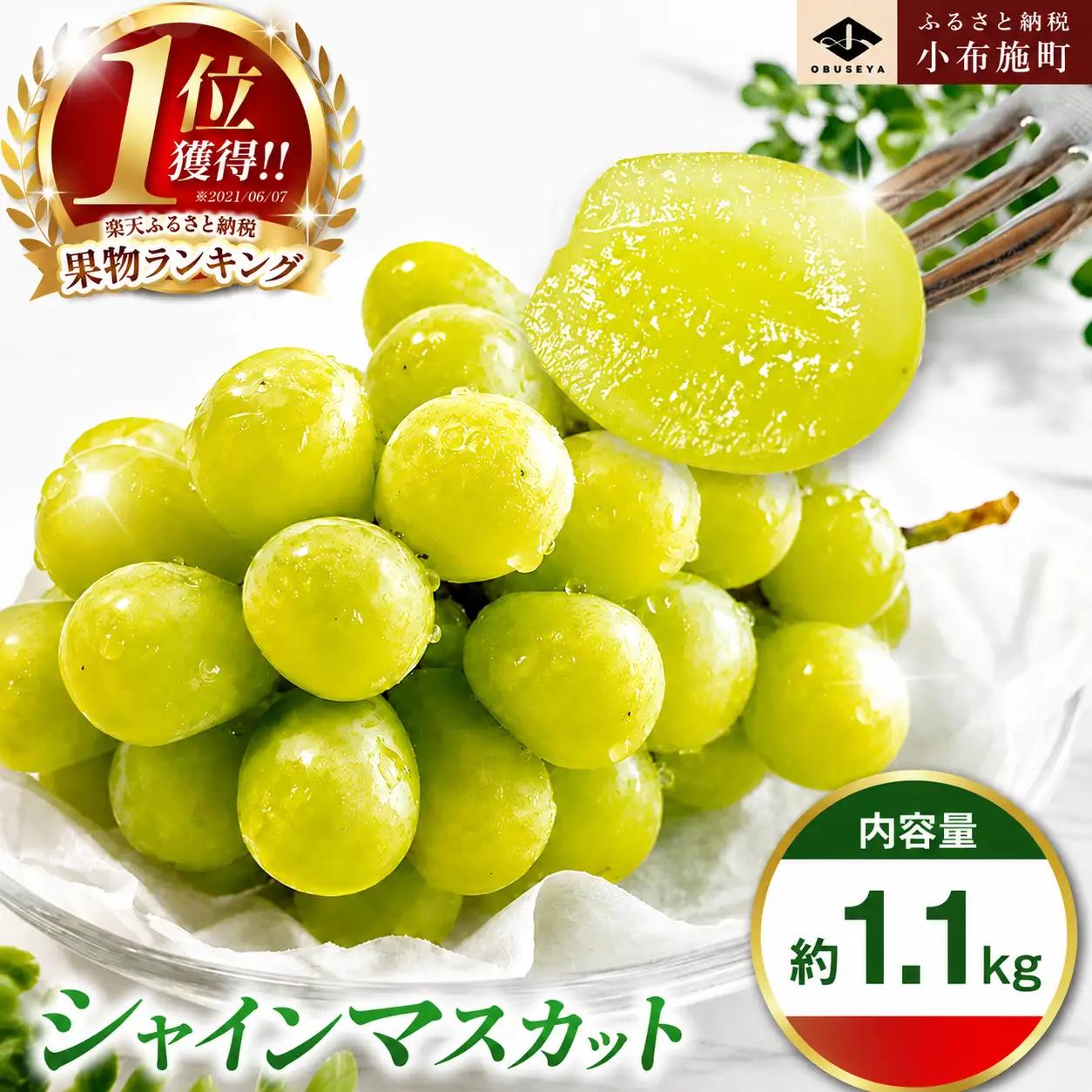 シャインマスカット 約1.1kg 2房 ［小布施屋］ 令和8年産 【2026年10月上旬～11月上旬発送】［A-8b］