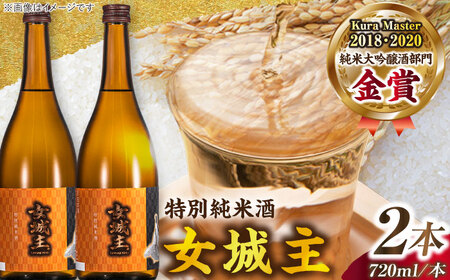 【カーボンオフセット対象】女城主 特別純米酒 720ml×2本 / 恵那市 / 岩村醸造 [AUAK007]