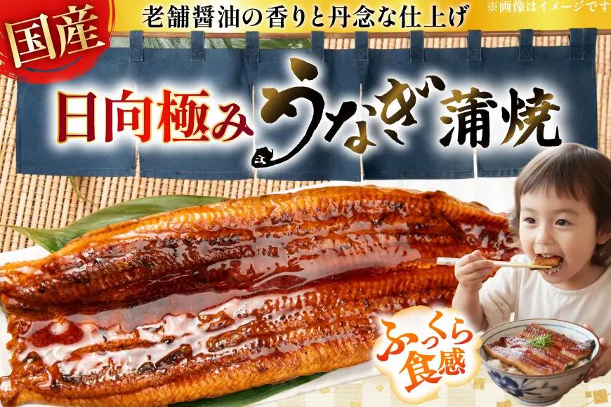 うなぎ 国産 【 丑の日 季節の定期便 】 日向極み うなぎ蒲焼 2尾 計240g [日向サンパーク 宮崎県 日向市 452061507]