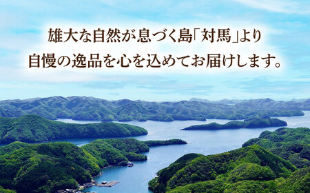 【全6回定期便】対馬 穴子 開き 800g [WAD045] アナゴ あなご 天ぷら 穴子重 開き 