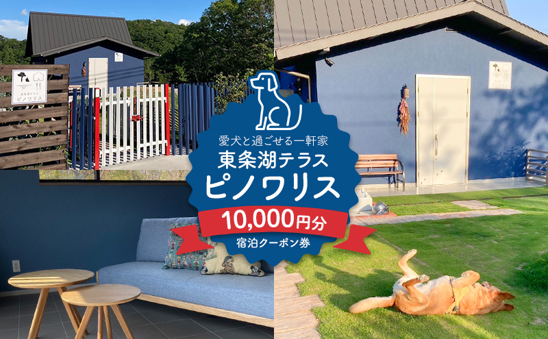 東条湖テラス ピノワリス 宿泊クーポン券 1万円分 愛犬と過ごせる一軒家　宿泊 旅行 クーポン ドッグラン 愛犬 犬 東条湖 加東市