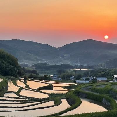 ふるさと納税 淡路市 【定期便】淡路島の棚田米 5kg×12回(毎月発送)　ae01085 |  | 02