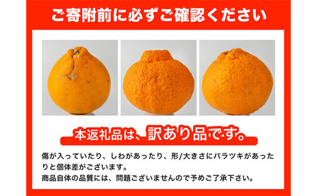 【先行予約】みかん 不知火 訳あり 不知火 10kg 
